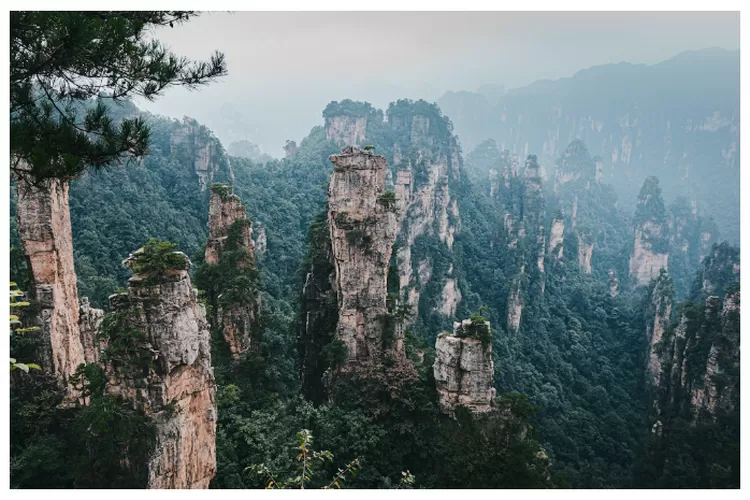 Menjaga Keindahan Taman Nasional Hutan Pandora Zhangjiajie