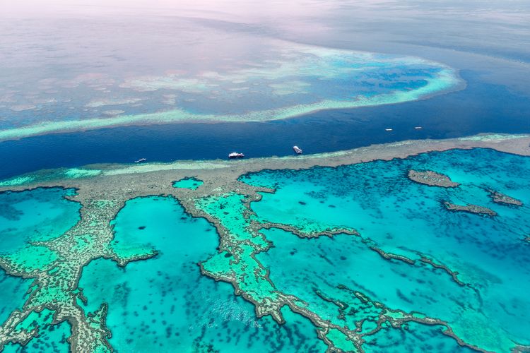 Taman Nasional Great Barrier Reef Dalam Ancaman Iklim