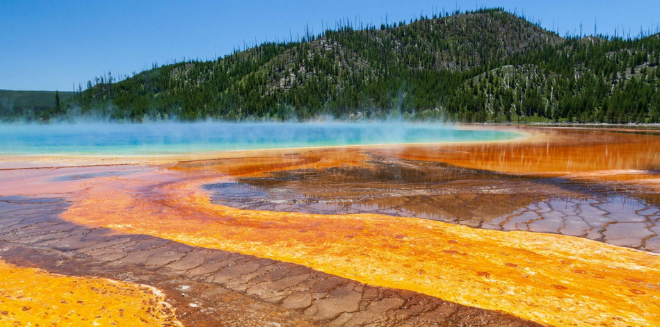Taman Nasional yang Menarik Perhatian Dunia Yellowstone